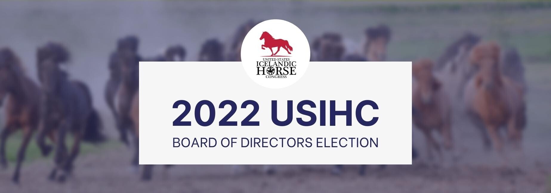 2022 USIHC BOD Election