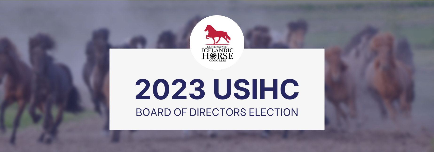 2023 USIHC Board of Directors Election