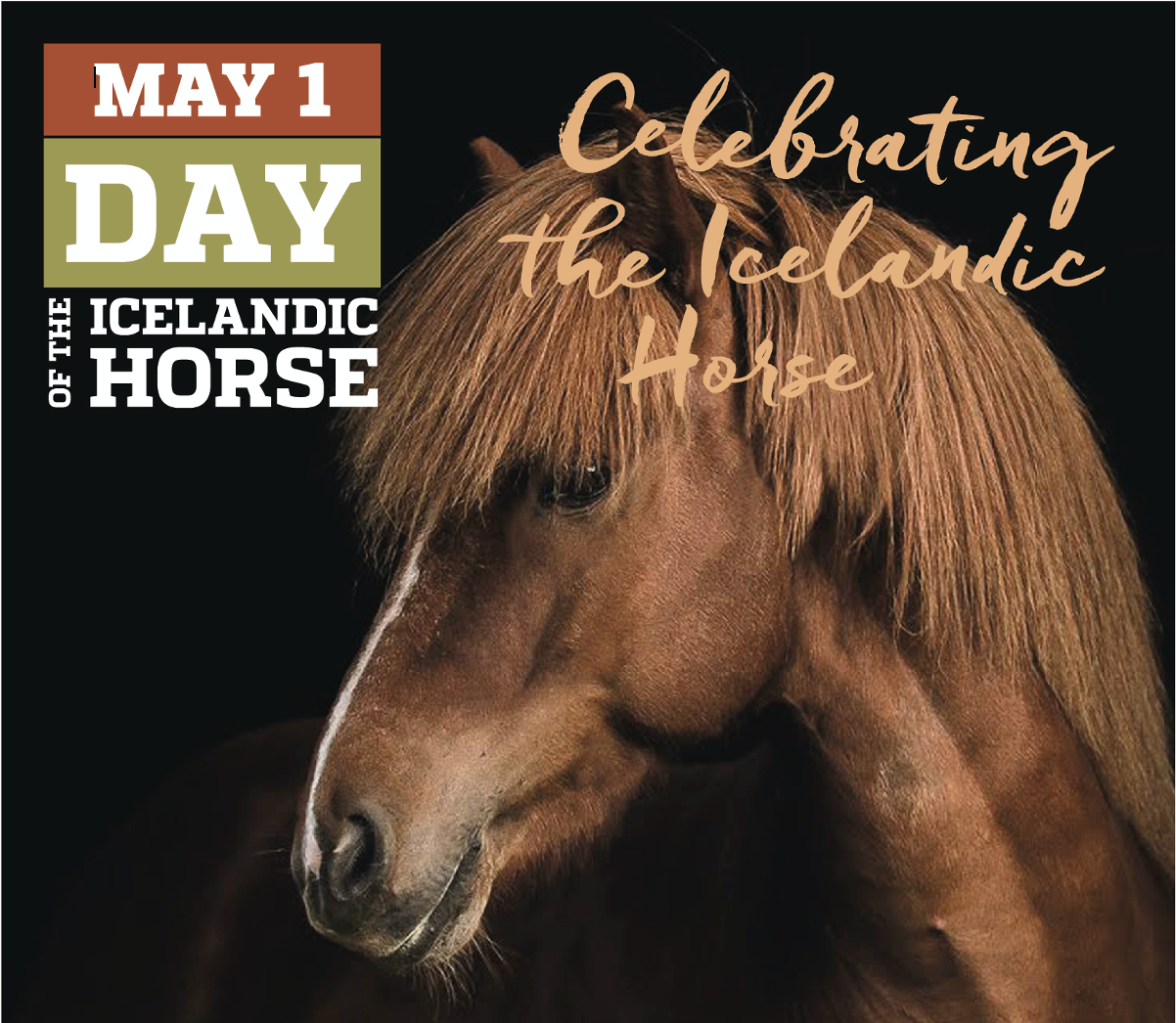 Day of the Icelandic Horse