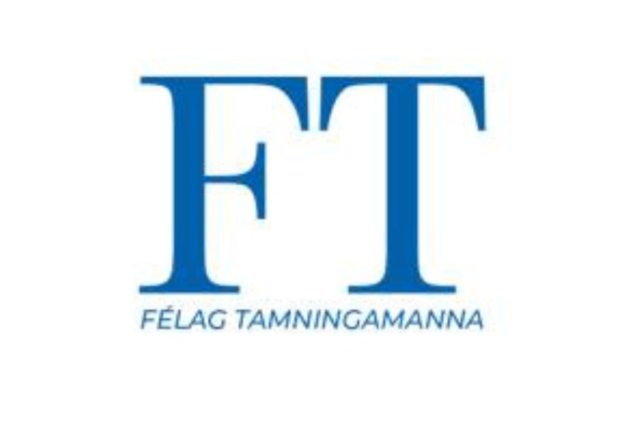 FT system logo