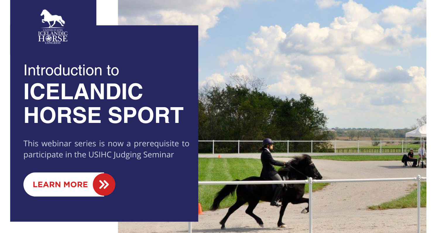 Icelandic horse Intro to Icelandic Horse Sport