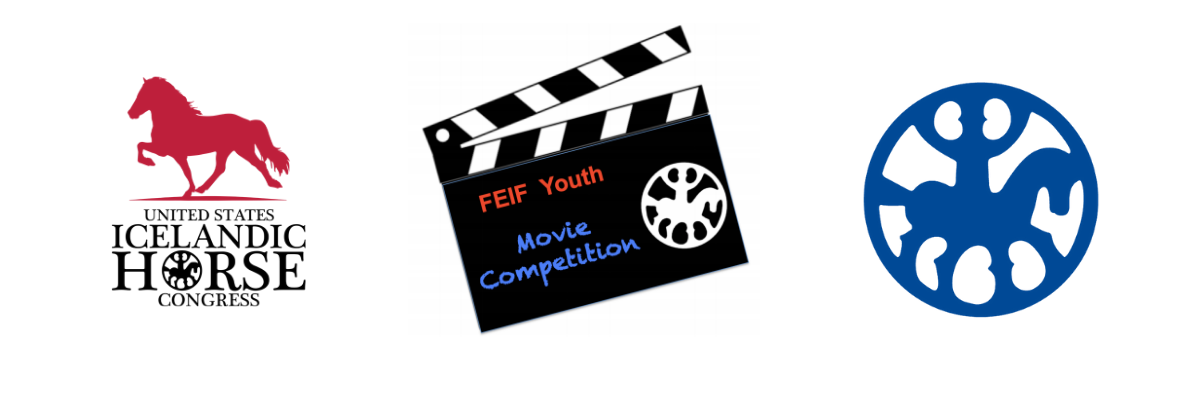 USIHC Youth Movie Competition