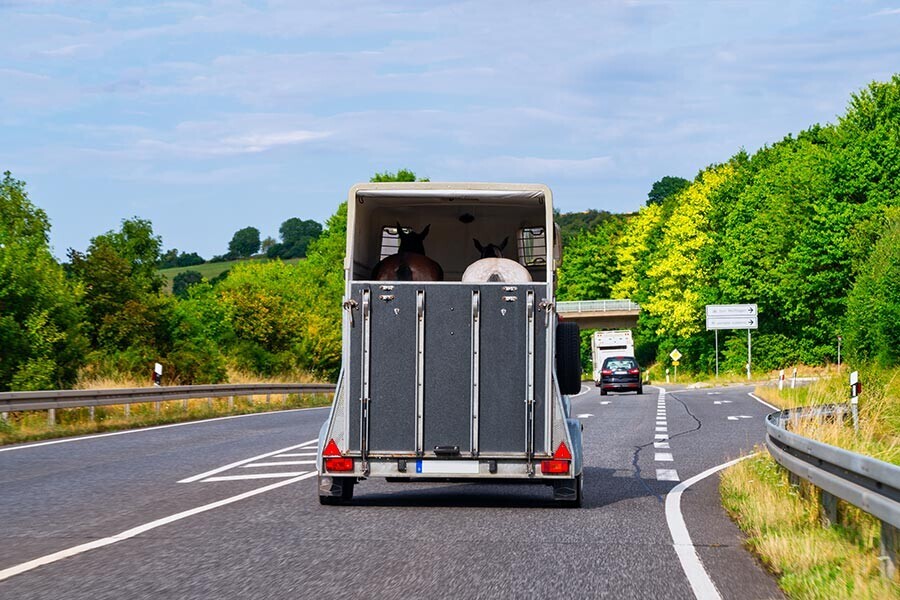 horse trailer