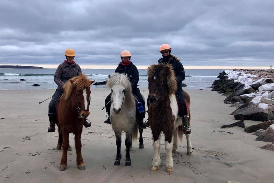 Sea 2 Shining Sea Ride Icelandic horses on Block Island